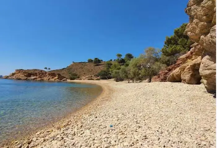 Une crique de galets bordée de pins, eaux claires